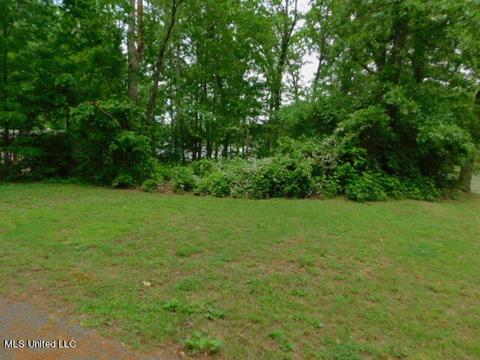 620 White Goose Cv, Hernando, MS 38632 photo 1