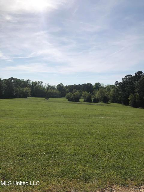 201 Coleman Rd, Brandon, MS 39042 photo 1