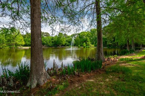 3 Pecan Tree Pl, Jackson, MS 39211 photo 24