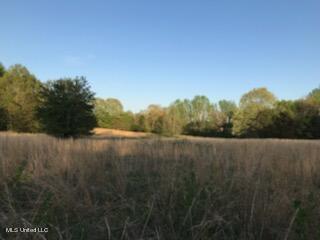 684 Baylor Rd, Senatobia, MS 38668 photo 7