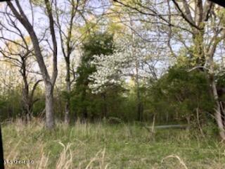684 Baylor Rd, Senatobia, MS 38668 photo 5