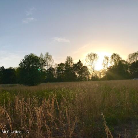 684 Baylor Rd, Senatobia, MS 38668 photo 2