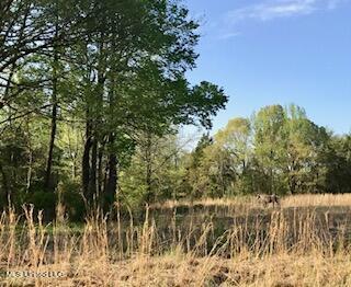 684 Baylor Rd, Senatobia, MS 38668 photo 8