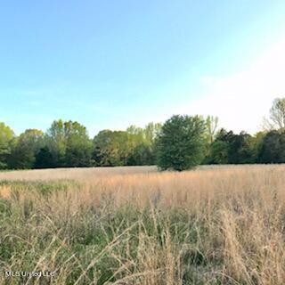 684 Baylor Rd, Senatobia, MS 38668 photo 3