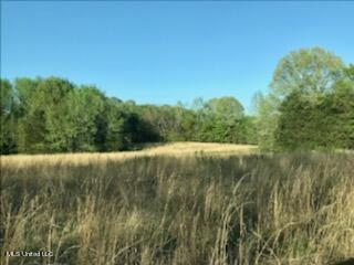 684 Baylor Rd, Senatobia, MS 38668 photo 1