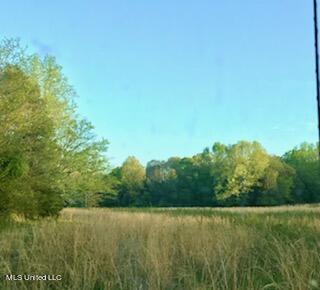684 Baylor Rd, Senatobia, MS 38668 photo 4