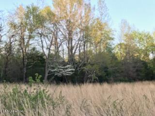 684 Baylor Rd, Senatobia, MS 38668 photo 6
