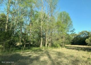 684 Baylor Rd, Senatobia, MS 38668 photo 9
