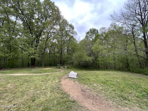 400 Bend Rd, Coldwater, MS 38618 photo 21