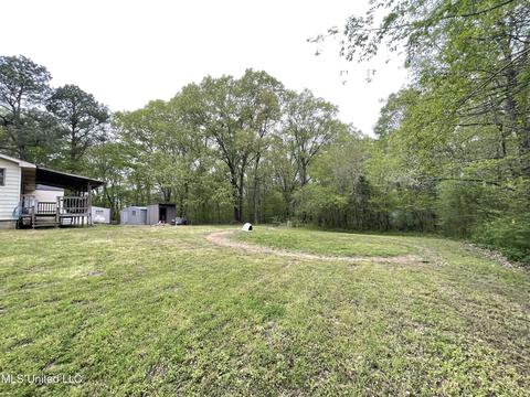 400 Bend Rd, Coldwater, MS 38618 photo 20