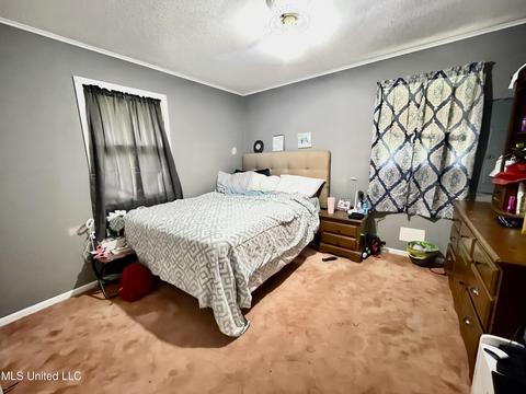 400 Bend Rd, Coldwater, MS 38618 photo 13
