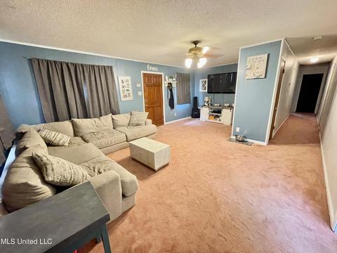 400 Bend Rd, Coldwater, MS 38618 photo 4