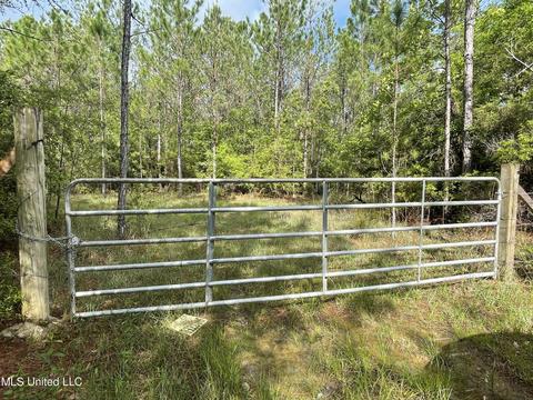 Kittrell Road, Beaumont, MS 39423
