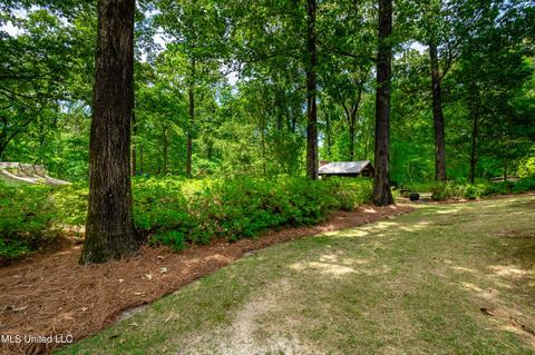 107 Noahs Mill Rd, Madison, MS 39110 photo 54