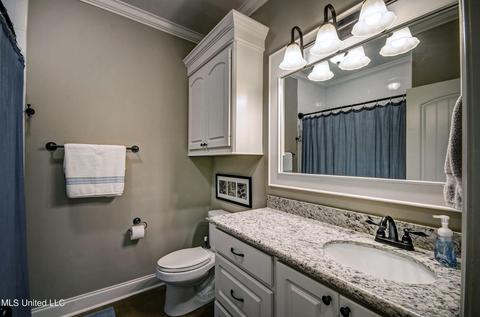 216 Greenfield Xing, Brandon, MS 39042 photo 23