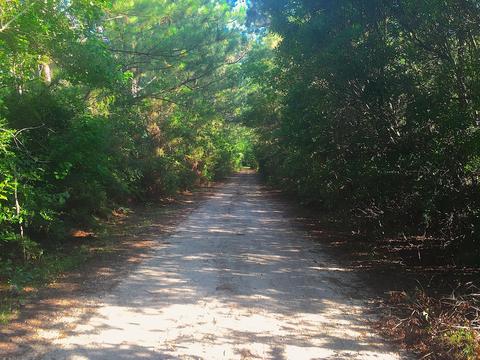 18355 Bert Dedeaux Rd, Saucier, MS 39574 photo 11