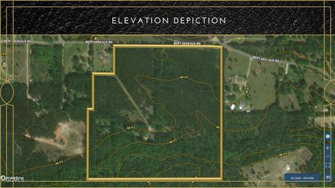 18355 Bert Dedeaux Rd, Saucier, MS 39574 photo 4