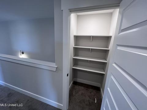 3911 Fieldstream Dr, Olive Branch, MS 38654 photo 33