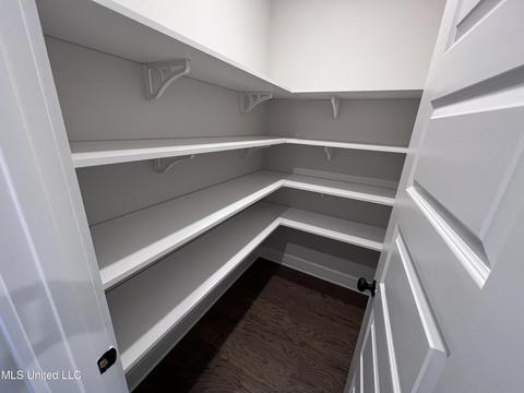 3911 Fieldstream Dr, Olive Branch, MS 38654 photo 11