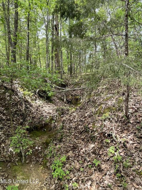 7155 Tate Marshall Rd, Coldwater, MS 38618 photo 4