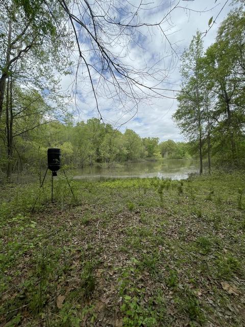 7155 Tate Marshall Rd, Coldwater, MS 38618 photo 5
