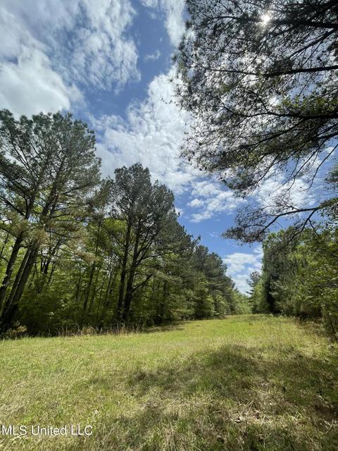 7155 Tate Marshall Rd, Coldwater, MS 38618 photo 3