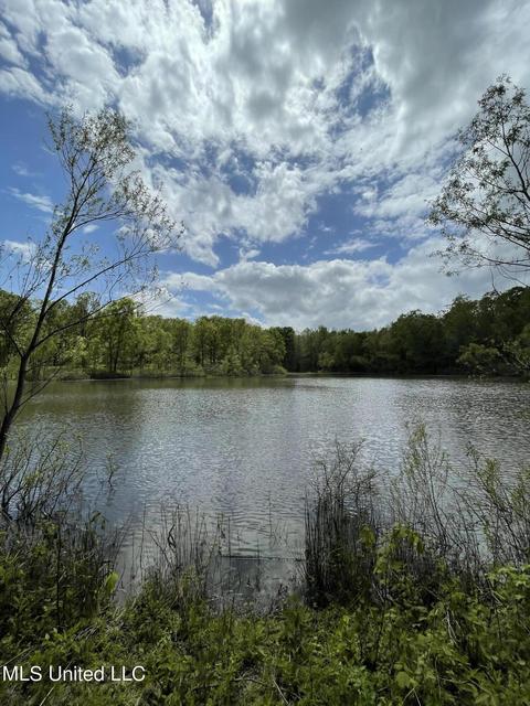 7155 Tate Marshall Rd, Coldwater, MS 38618 photo 7