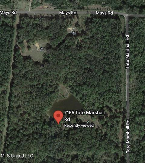 7155 Tate Marshall Rd, Coldwater, MS 38618 photo 8