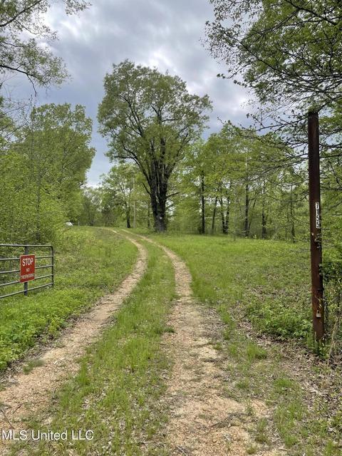 7155 Tate Marshall Rd, Coldwater, MS 38618 photo 1