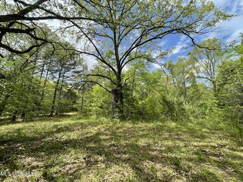 7155 Tate Marshall Rd, Coldwater, MS 38618 photo 2
