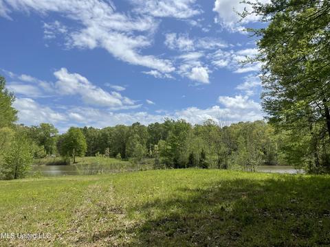7155 Tate Marshall Rd, Coldwater, MS 38618 photo 6