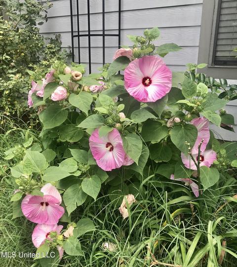 409 Spike Rdg, Canton, MS 39046 photo 35