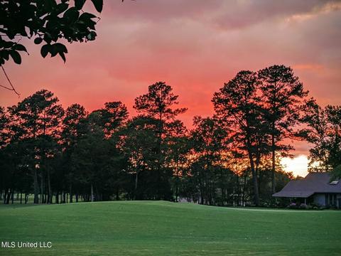 409 Spike Rdg, Canton, MS 39046 photo 6