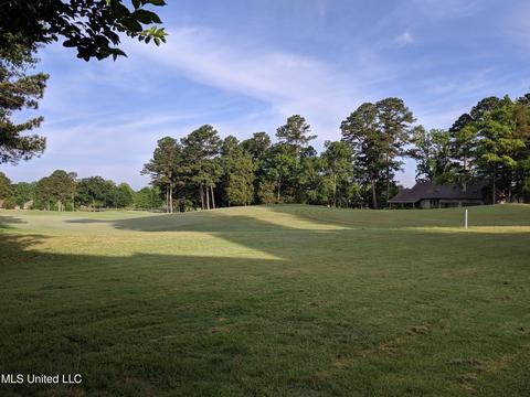 409 Spike Rdg, Canton, MS 39046 photo 43