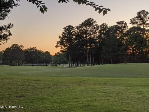 409 Spike Rdg, Canton, MS 39046 photo 42