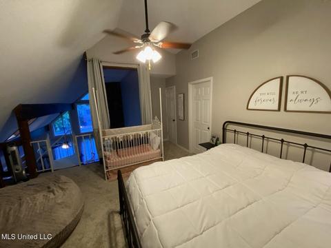 206 Dublin Ct, Brandon, MS 39047 photo 19