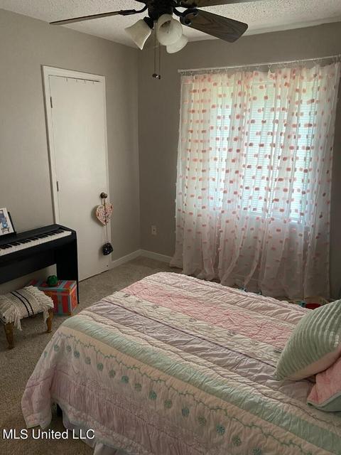 206 Dublin Ct, Brandon, MS 39047 photo 21