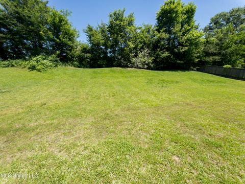102 Bainbridge Xing, Canton, MS 39046 photo 55