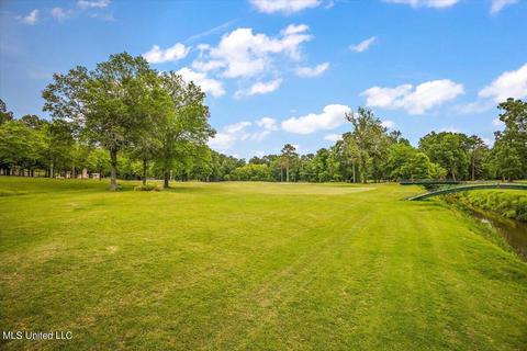 101 Spring Valley Dr, Brandon, MS 39047 photo 37
