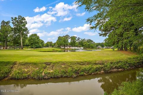 101 Spring Valley Dr, Brandon, MS 39047 photo 40