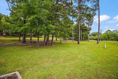 101 Spring Valley Dr, Brandon, MS 39047 photo 38