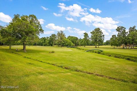 101 Spring Valley Dr, Brandon, MS 39047 photo 39