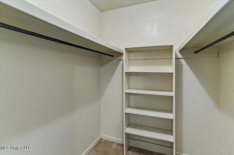 1117 Davis Cv, Jackson, MS 39209 photo 23