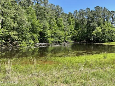 5100 Forest Hill Rd, Jackson, MS 39272 photo 7