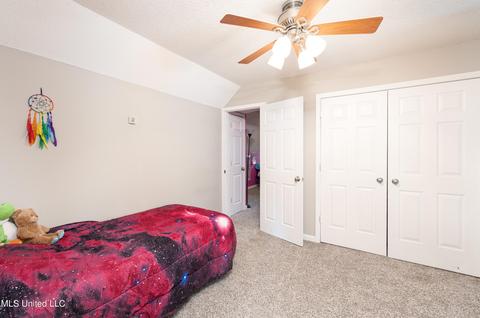 5869 Eagleston Dr, Olive Branch, MS 38654 photo 17