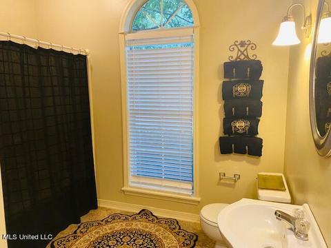 1035 Cherrystone Ct, Madison, MS 39110 photo 11