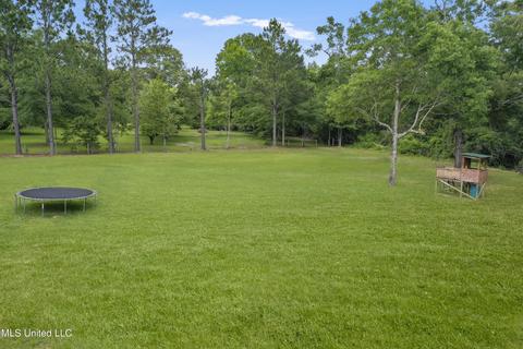 296 Old Hwy 49, Mchenry, MS 39561 photo 27