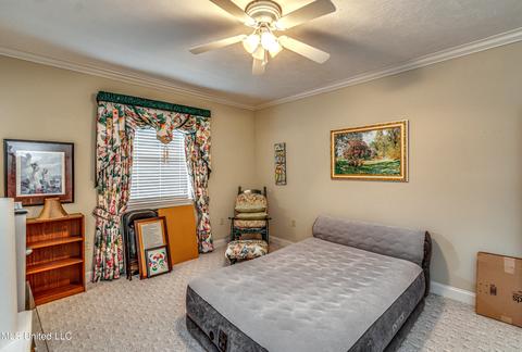 402 Belle Pointe Ln, Madison, MS 39110 photo 65