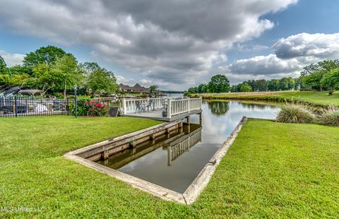 402 Belle Pointe Ln, Madison, MS 39110 photo 23