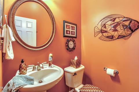 402 Belle Pointe Ln, Madison, MS 39110 photo 41